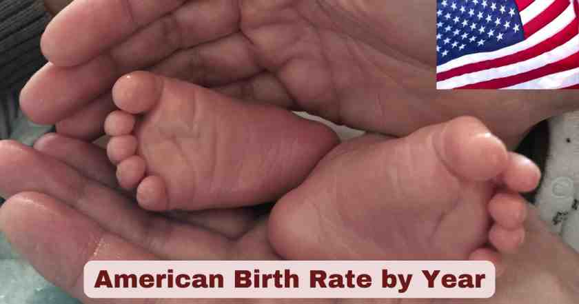 American Birth Rate by Year