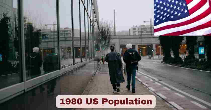 1980 us population