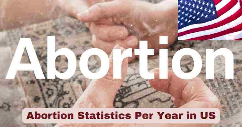 Abortion Statistics Per Year