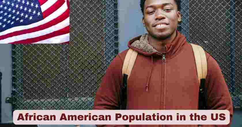African American Population in the US