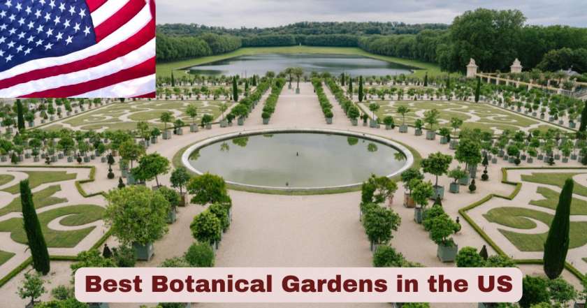 Best Botanical Gardens in the US