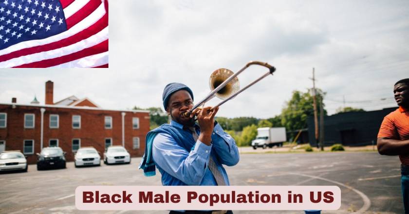 Black Male Population in US