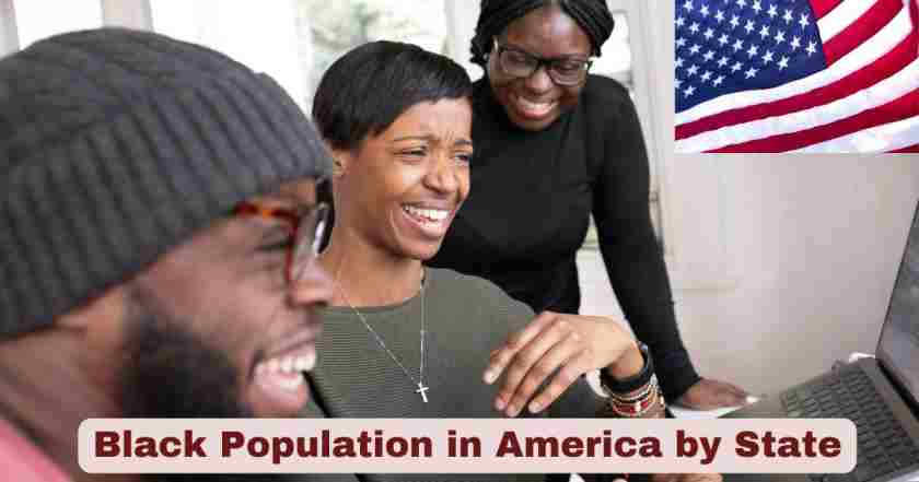 Black Population in America by State