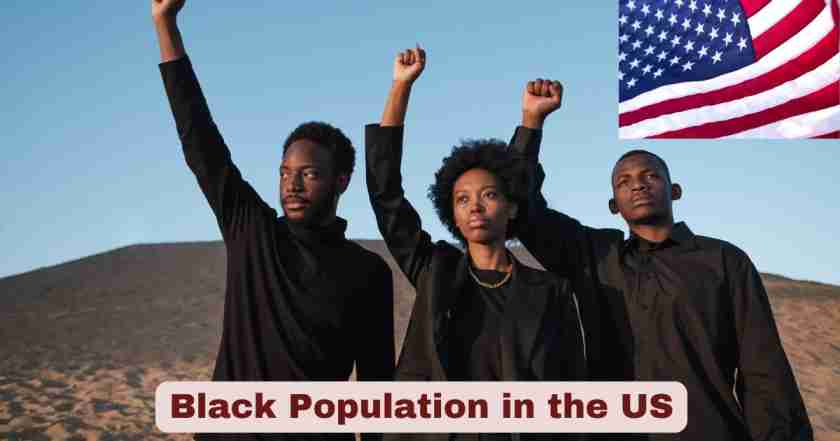 Black Population in the US