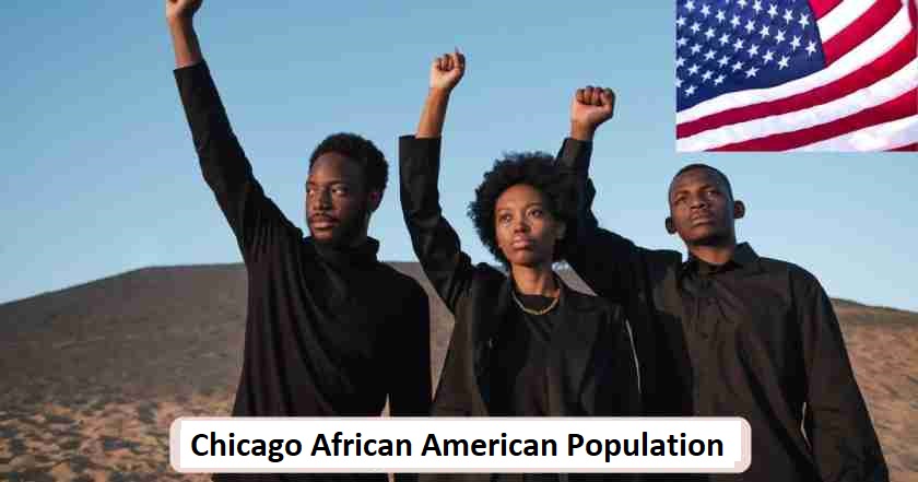 Chicago African American Population