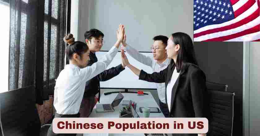 Chinese Population in US