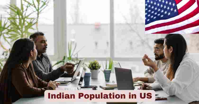 Indian Population in US