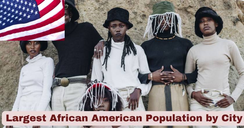 Largest Afro American Population by City