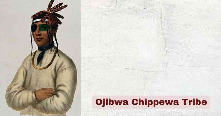 Ojibwa Chippewa Tribe