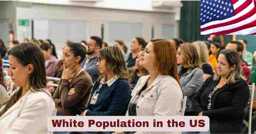 White Population in the US