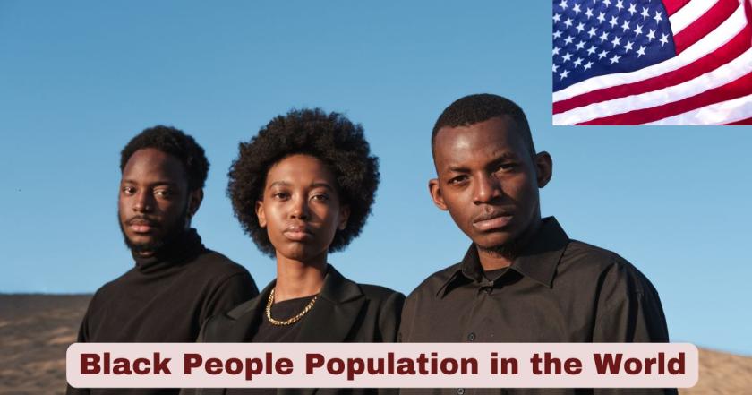 black people population in the world