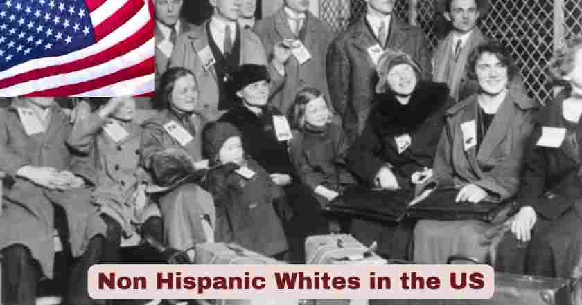 non hispanic whites in the US