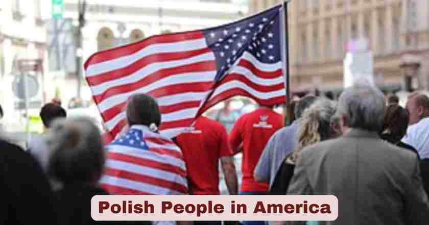 polish in us