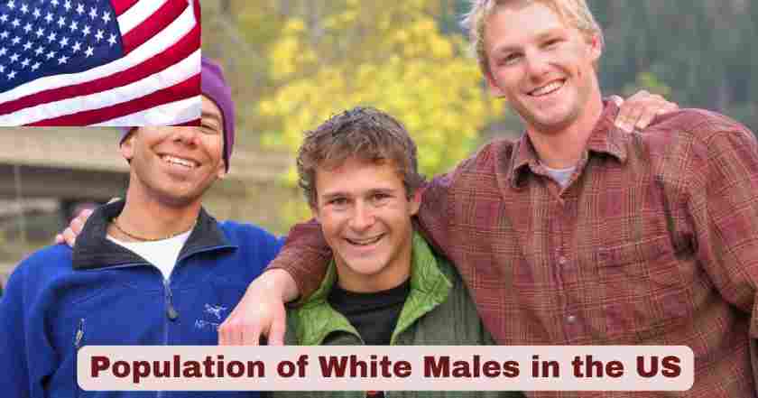 population of white males in the us