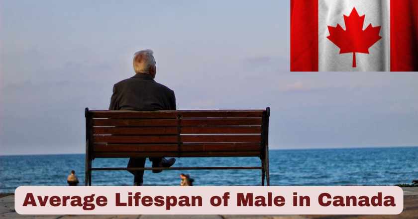 Average Lifespan of Male in Canada