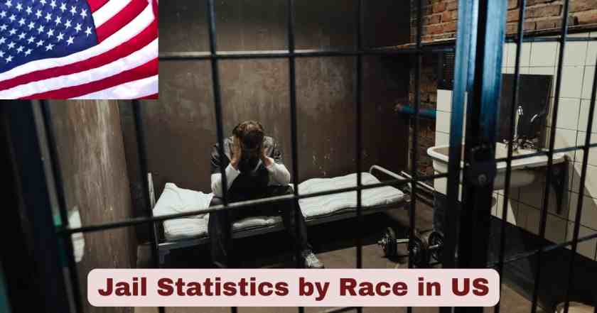 Jail Statistics by Race in US
