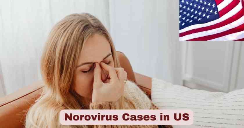 Norovirus Cases in US