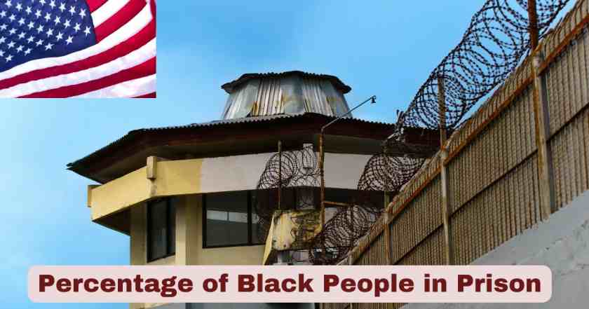 Percentage of Black People in Prison