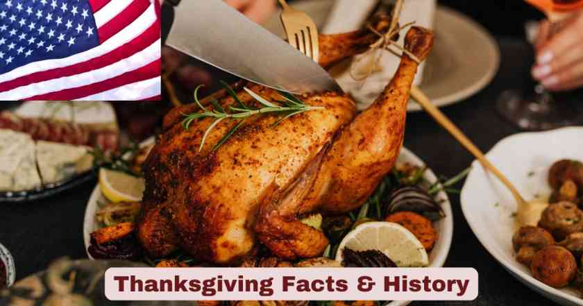 Thanksgiving Facts & History