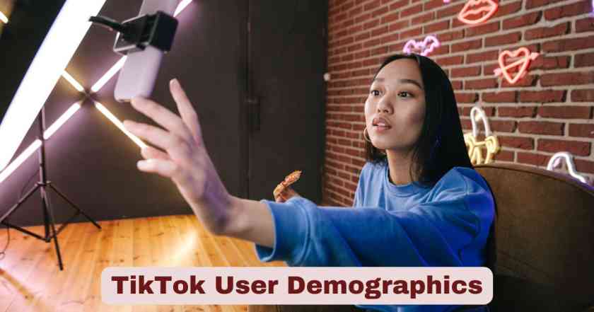 TikTok User Demographics