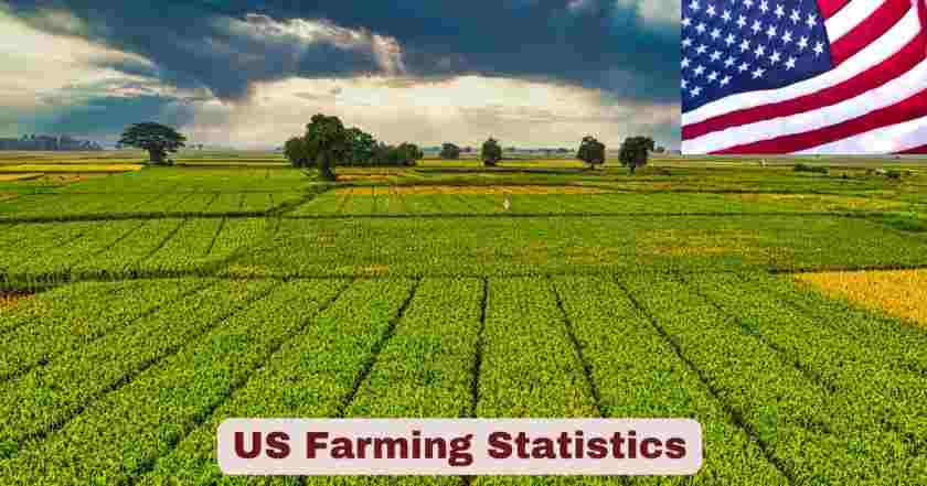 US Farming Statistics