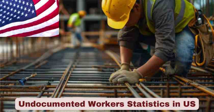 Undocumented Workers in US