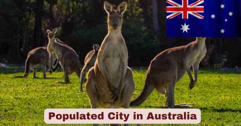 populated city in australia