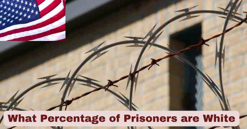 what percentage of prisoners are white