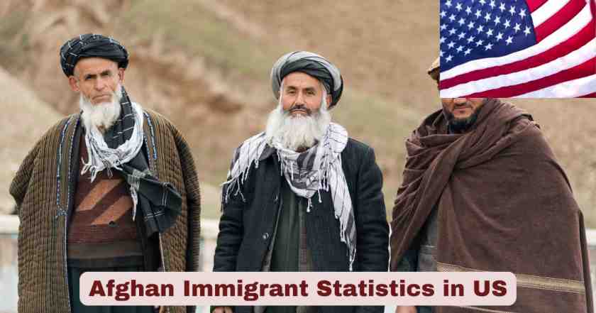 Afghan Immigrant Statistics in US