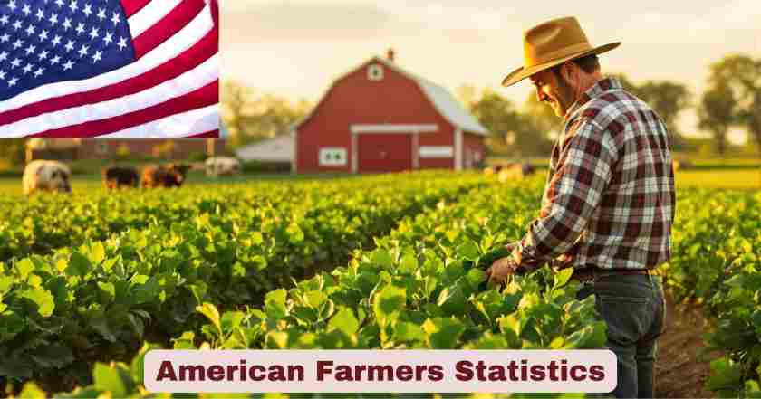 American Farmers Statistics
