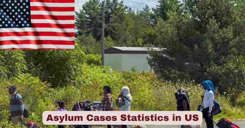 Asylum Cases in US