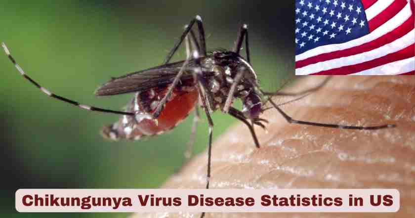 Chikungunya Virus Disease in US