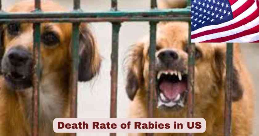 Death Rate of Rabies in US