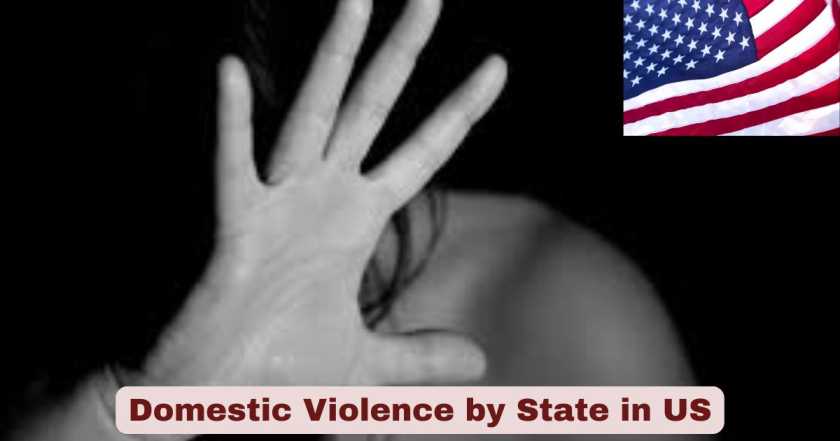 Domestic Violence by State