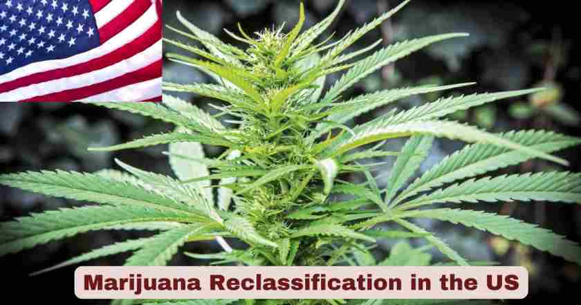 Marijuana Reclassification in the US