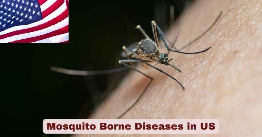 Mosquito Borne Diseases in US
