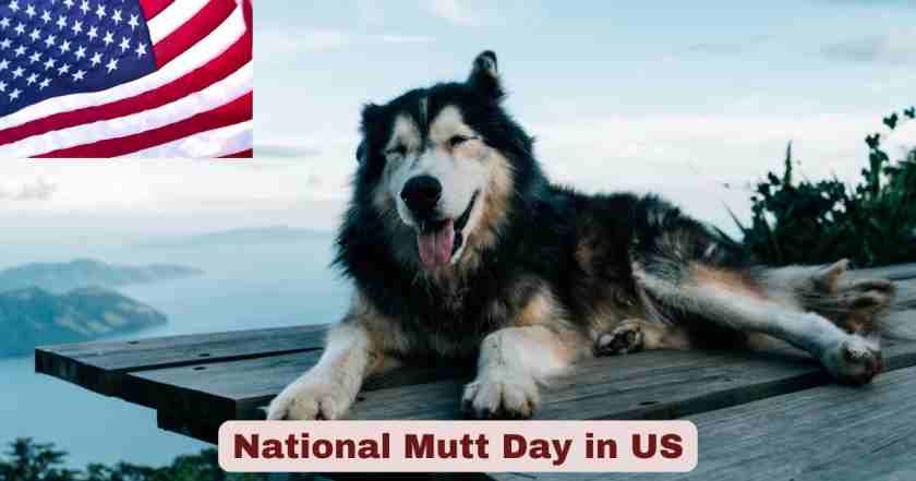 National Mutt Day