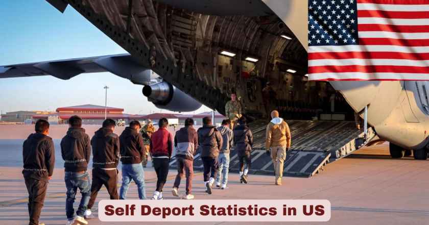 Self Deport Statistics in US