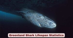 Greenland Shark Lifespan Statistics | Key Facts - The World Data