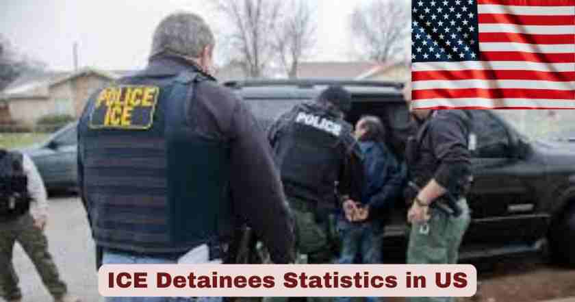 ICE Detainees in US