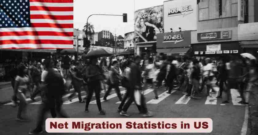 Net Migration Statistics in US