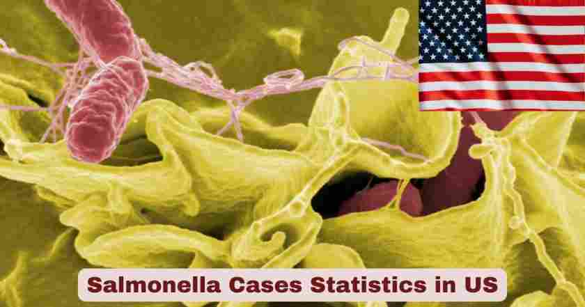 Salmonella Cases in US