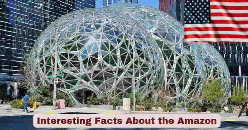 Interesting Facts About the Amazon