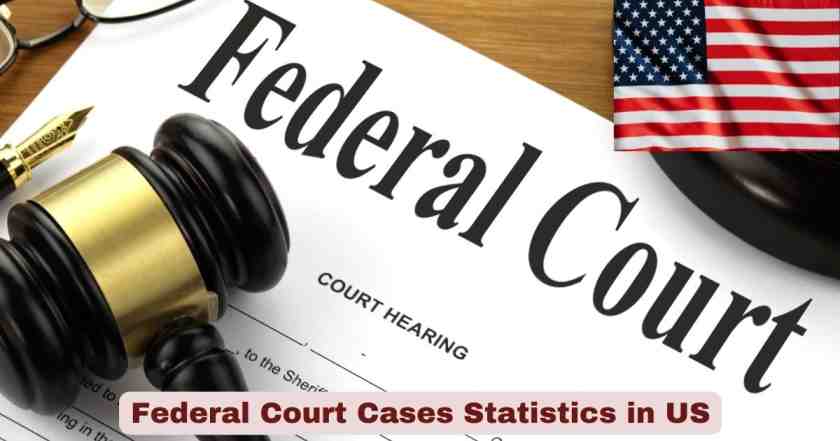 Federal Court Cases Statistics in US