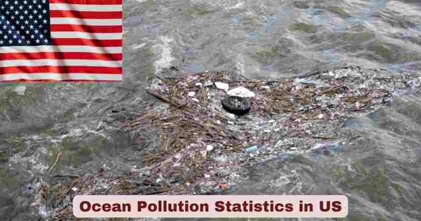Ocean Pollution Statistics in US