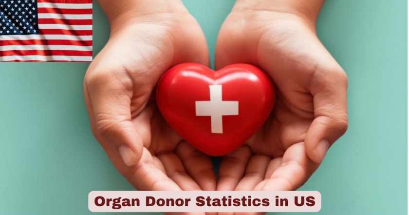 Organ Donor Statistics in US