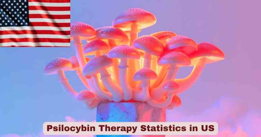 Psilocybin Therapy Statistics in US