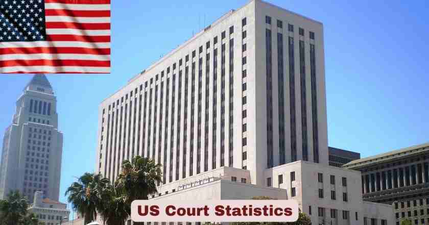 US Court Statistics