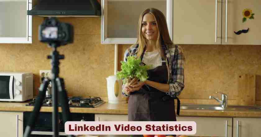 LinkedIn Video Statistics