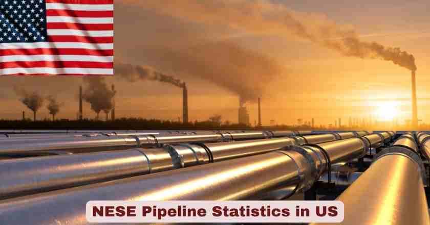 NESE Pipeline Statistics in US